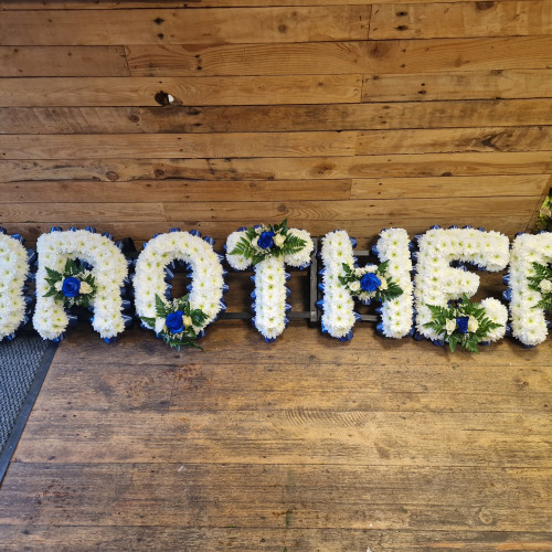 The Flower Cwtch, 20221103 150838