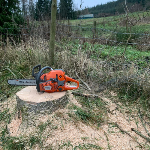 MK Tree & Garden Services , 3716D7DF 01F0 4D7F B443 D0A53B2C1E3B