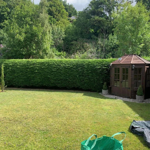 MK Tree & Garden Services , 84C27C3C 8D0E 4E6D A36C B67C87345448