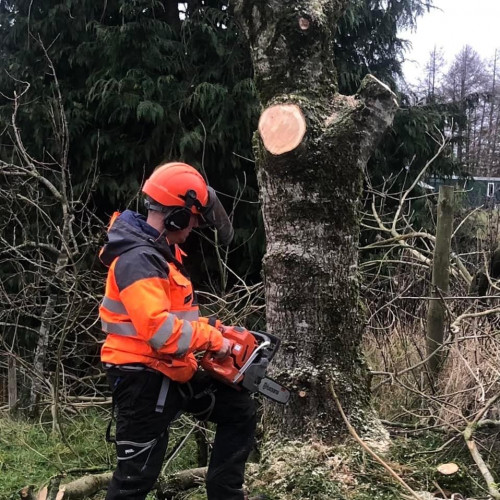 MK Tree & Garden Services , 8E741ADC 593B 4C0C 989D F2765B2093C8