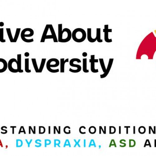 Dyslexia Coaching, A
