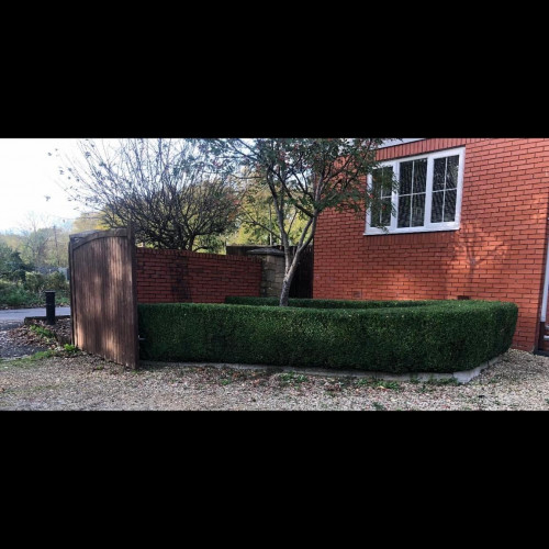 MK Tree & Garden Services , C391C966 F1AD 4780 A4A5 DC2EDFB36A4C
