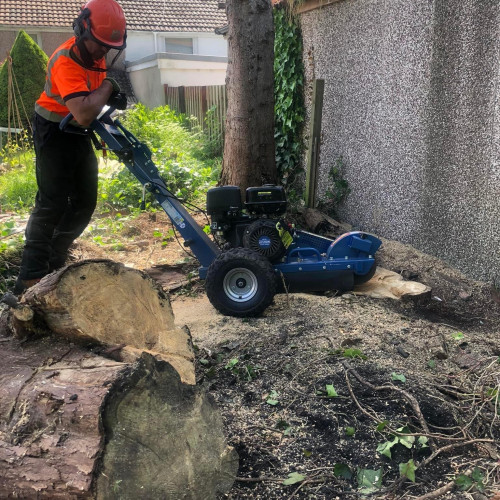 MK Tree & Garden Services , CDF7878E 1480 4878 AF83 FAC4EF106A5C