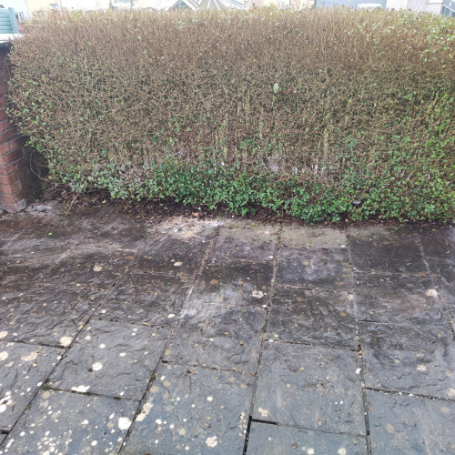 FAB Waste Removal , IMG 20230202 095709