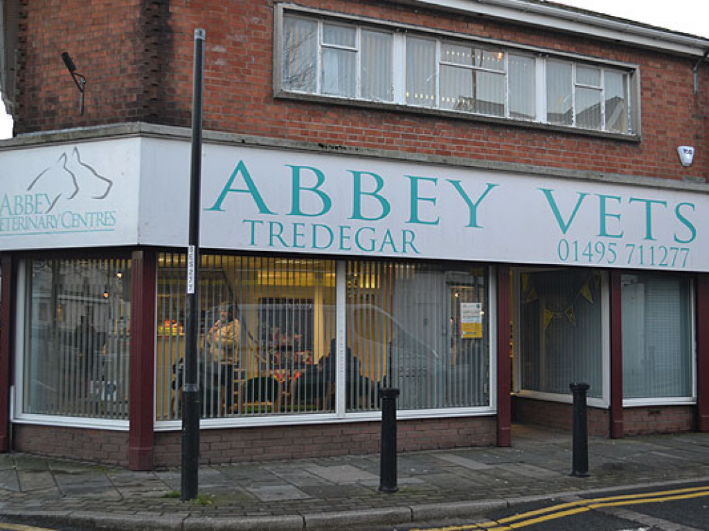 Abbey Vets
