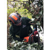 MK Tree & Garden Services  Logo