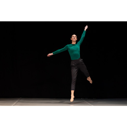 FFIN DANCE  Logo